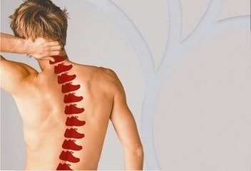 骨密度超聲 便攜式骨密度儀價(jià)格