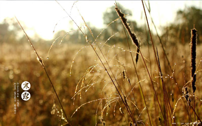 經(jīng)顱多普勒廠家