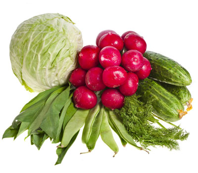 經(jīng)顱多普勒超聲